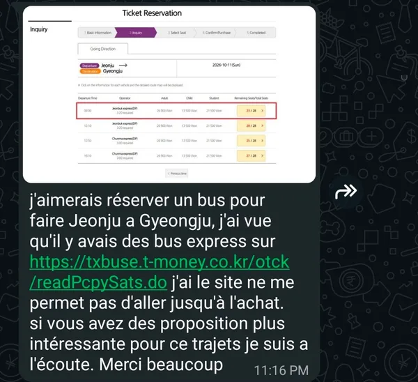 🇫🇷 France · Intercity bus: “the site won't let me get as far as buying”